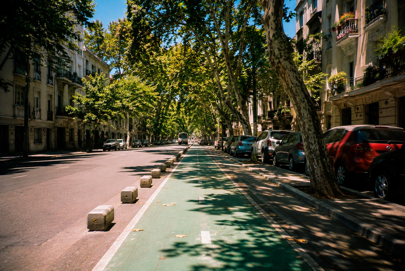 Ciclovía protegida con demarcación pintada y árboles en una calle de Buenos Aires