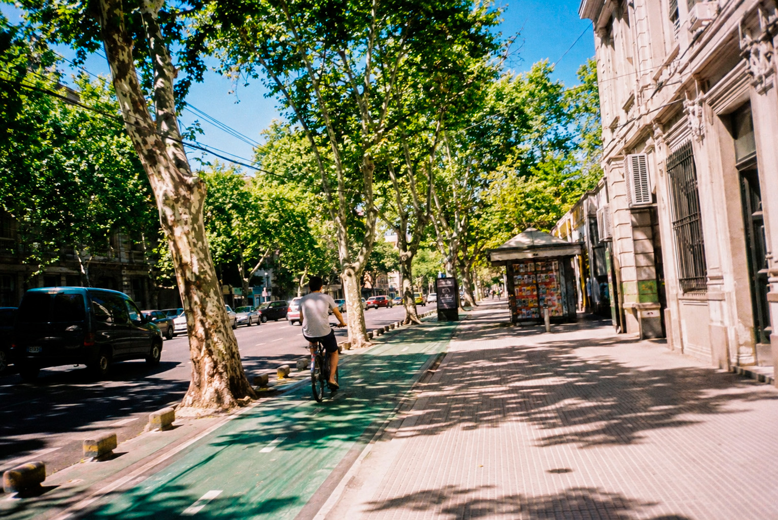 Ciclista pedaleando por una ciclovía protegida arbolada de Buenos Aires en un día de sol